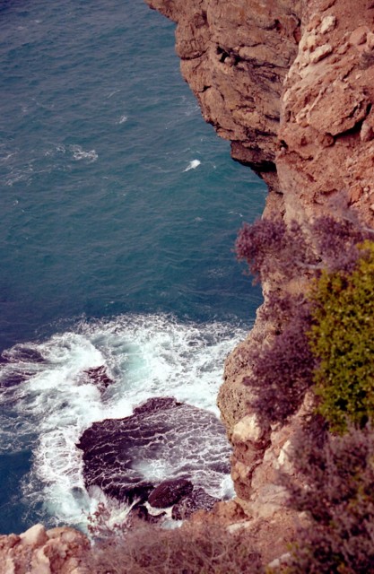 [Image: 26a.jpg]