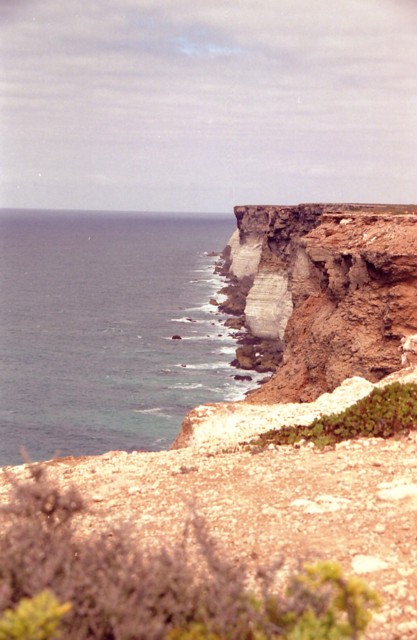 [Image: 28a.jpg]