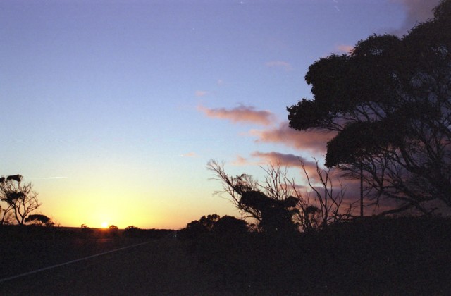 [Image: 32a.jpg]