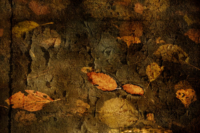 [Image: 59_IMG_1631-Edit.jpg]