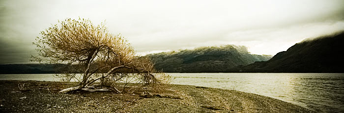 [Image: 66_IMG_3412-Edit.jpg]