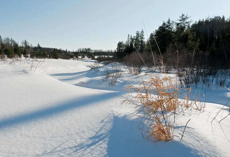 [Image: A-creek-w-of-Sudbury,-Ontario-800-s_DSC3330_DxO_raw.jpg]