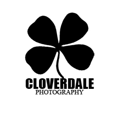 [Image: CLOVERDALE_4%20copy.jpg]