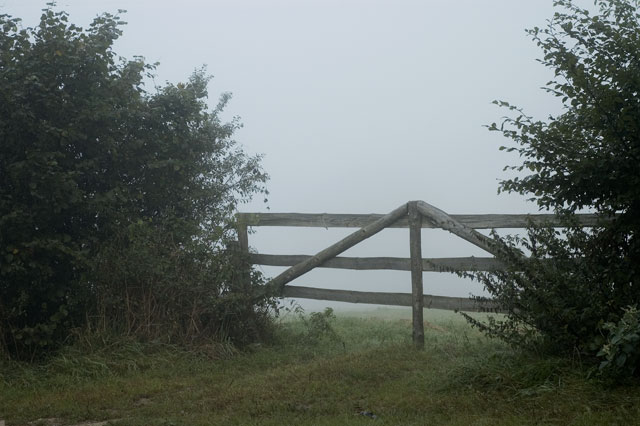 [Image: DSC_0053-01foggygate.jpg]