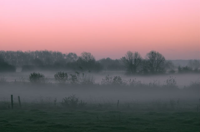 [Image: DSC_2498-01pinkfog.jpg]