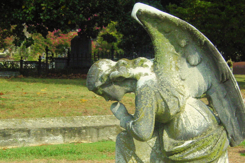 [Image: Elmwood%20Cemetery%20022d.jpg]