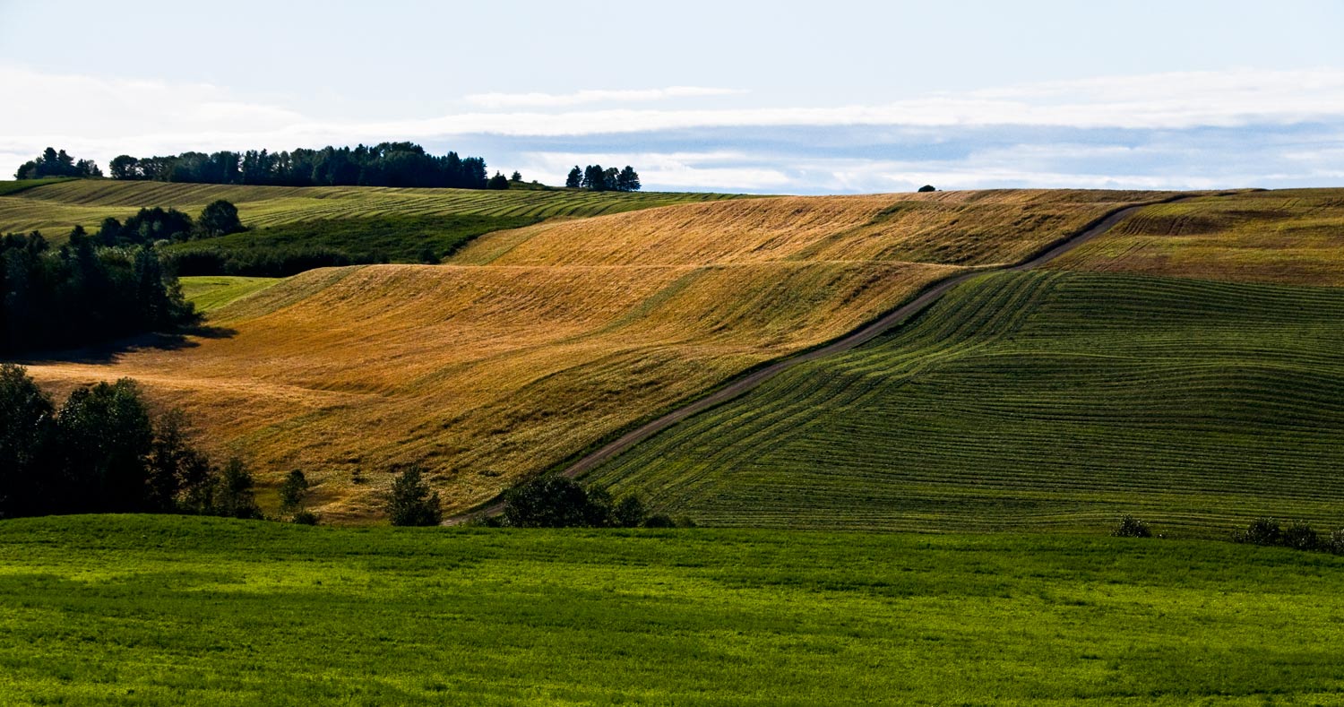 [Image: Fields-rolling-gaspesie-Aug-2008_DSC6515.jpg]