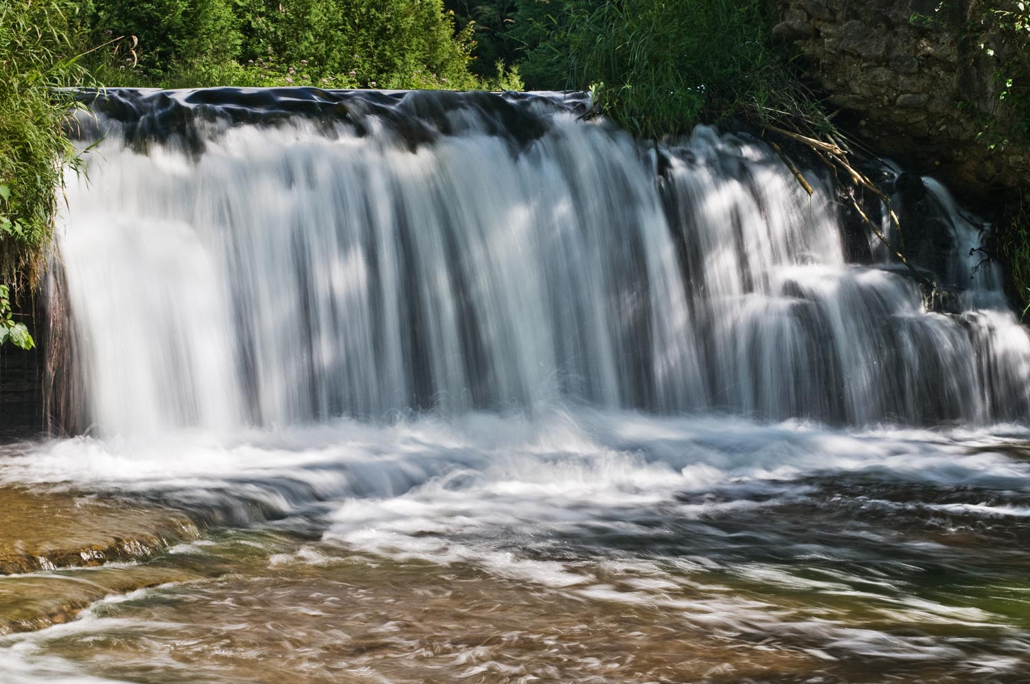 [Image: Forks-of-Credit-R-w-Angela-Aug-2008-_DSC...t-08c_.jpg]