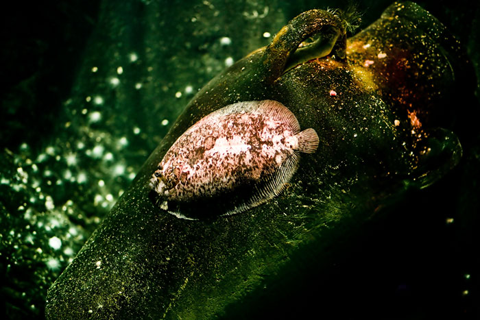 [Image: IMG_0396-Edit.jpg]