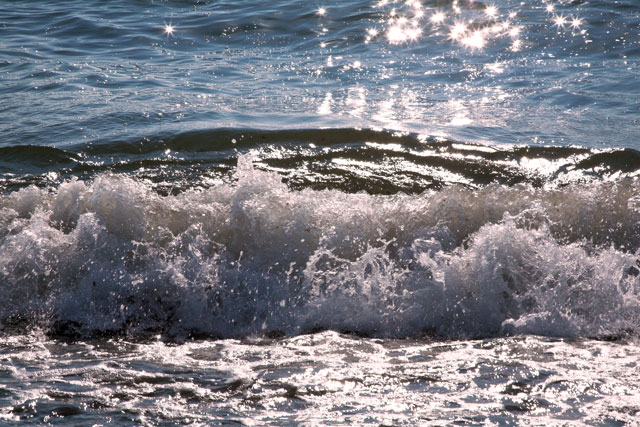 [Image: IMG_1399-01splash.jpg]