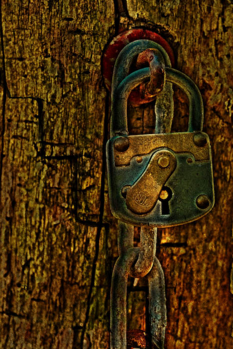 [Image: IMG_6509-Edit.jpg]