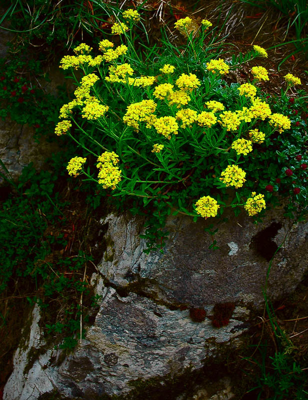 [Image: Light-on-dark,-Provence,-France-2005-DSC...-800-s.jpg]