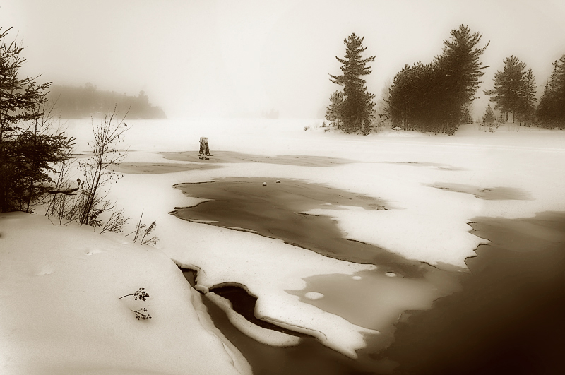 [Image: Near-Elliot-lake,-Ontario-2009-BW(Q)-800...xO_raw.jpg]