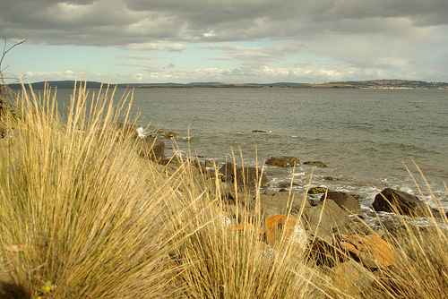 [Image: Taroona.jpg]