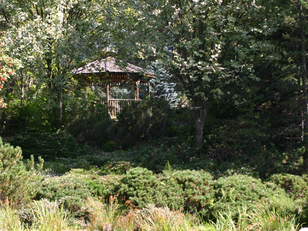 [Image: Vandusen-Botanical-Garden-e.jpg]