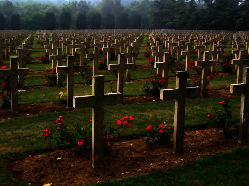 [Image: Verdun%20Crosses%20sm.jpg]