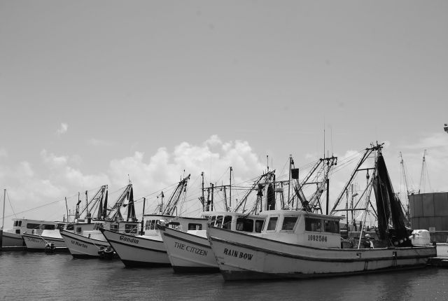 [Image: boats12222222.jpg]