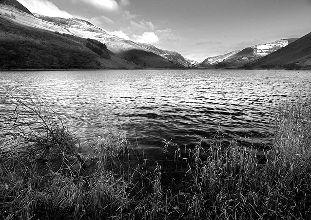 [Image: tal-y-llyn-01%20new.jpg]