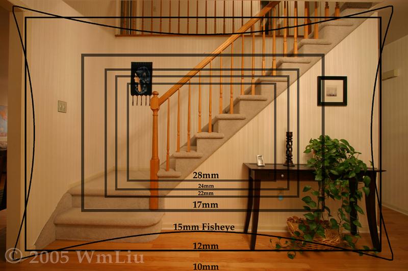 [Image: w050124fovcomparison2wv%20(Medium).jpg]