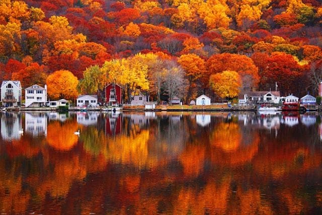 Autumn landscape